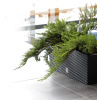PROSPERPLAST Doniczka  RATO CASE antracyt DRTC600-S433