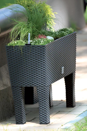 PROSPERPLAST Doniczka  RATO CASE HIGH UMBRA DRTC600H-440U