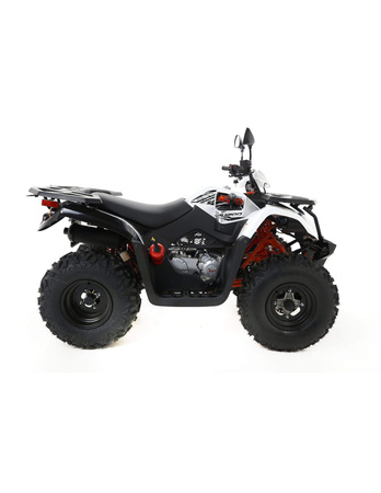 Kayo Quad au200 T3B - Homologacja Q-KAYO-AU200T3B