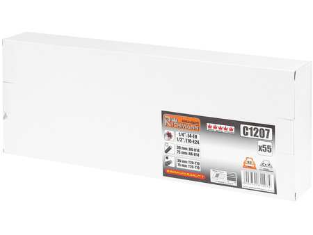 Richmann wkład zestaw bitów imbusowych, torx i nasadek torx C1207
