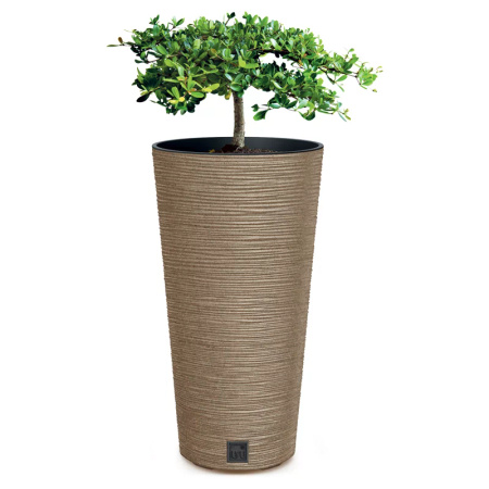 PROSPERPLAST Doniczka WOODE Furu Wood DFRH250W-4665W
