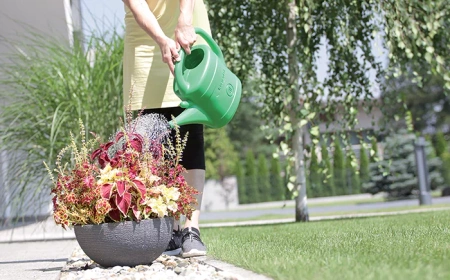 PROSPERPLAST KONEWKA 5L Z SITKIEM SPRING ZIELONA
