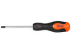 RICHMANN WKRĘTAK TORX T40X100 MM C5471