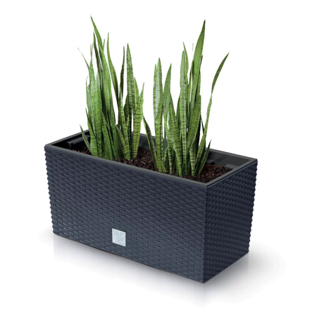 Prosperplast doniczka RATO CASE - antracytowy DRC600-S433