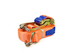 GEKO PAS TRANSPORTOWY 50mm 16M 5T