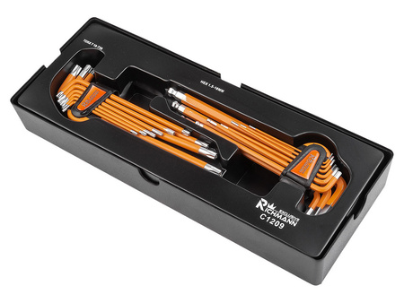 Richmann wkłąd imbus 1,5-10mm + Torx T10-T50 S2 18 C1209