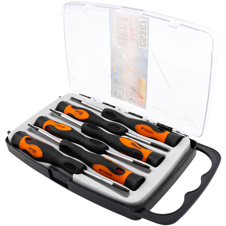 RICHMANN WKRĘTAKI MINI 6EL. TORX C5367