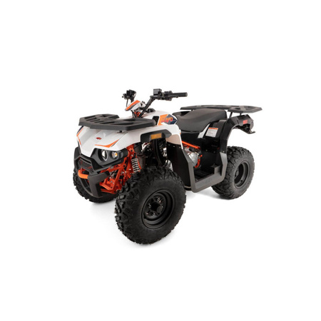 KAYO Quad AU180 - Bez prawa do rejestracji KAYO AU180