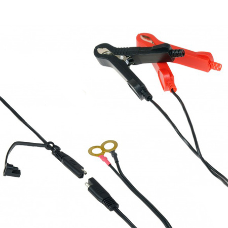 Ideal prostownik Expert Charger 10 12/24V