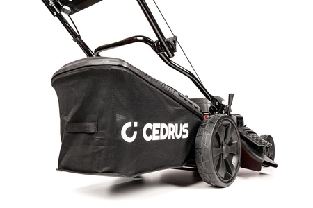 Cedrus kosiarka spalinowa z napędem 53cm HONDA GCV2 CEDKS53S-H-AL