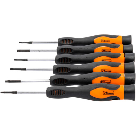 RICHMANN WKRĘTAKI MINI 6EL. TORX C5367