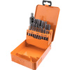 Richmann zestaw gwintowników M3-M12 22 elementów C9181