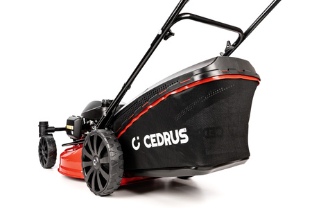 Cedrus kosiarka 51cm silnik Honda GCV200 z napędem i skrętnymi kołami 3w1