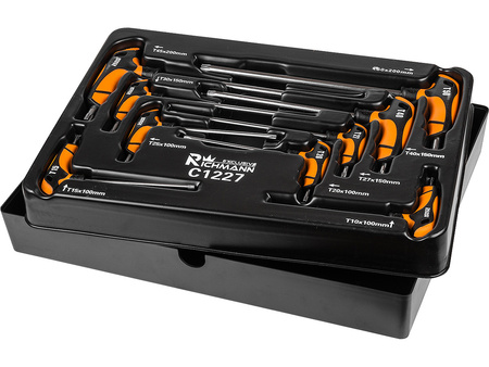 Richmann wkład do wózka zestaw kluczy torx C1227