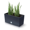 Prosperplast doniczka RATO CASE - antracytowy DRC600-S433