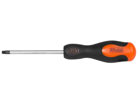 RICHMANN WKRĘTAK TORX T30X100 MM C5470