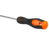 RICHMANN WKRĘTAK TORX T30X100 MM C5470