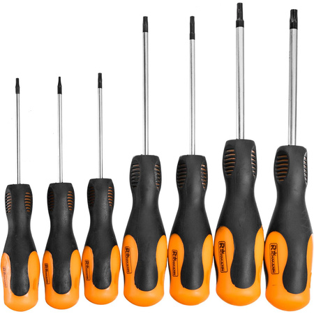 RICHMANN ZESTAW WKRĘAKÓW TORX 7EL. T6-T30 C5375