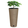 PROSPERPLAST Doniczka WOODE Furu Wood DFRH250W-4665W