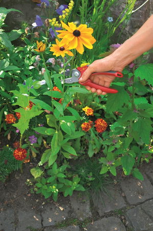 WOLF GARTEN SEKATOR KOWADEŁKOWY RS 2500 73CFA003650