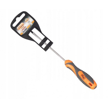 RICHMANN WKRĘTAK PŁASKI 5X100MM S2 C5223