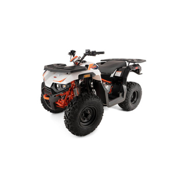 KAYO Quad AU180 - Bez prawa do rejestracji KAYO AU180