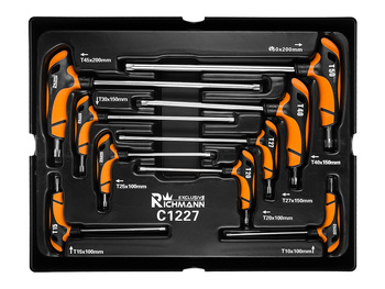 Richmann wkład do wózka zestaw kluczy torx C1227