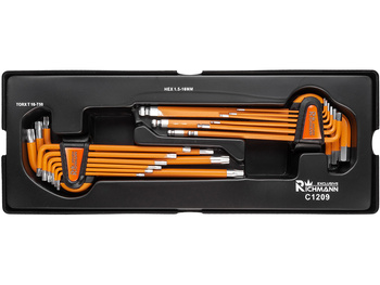 Richmann wkłąd imbus 1,5-10mm + Torx T10-T50 S2 18 C1209